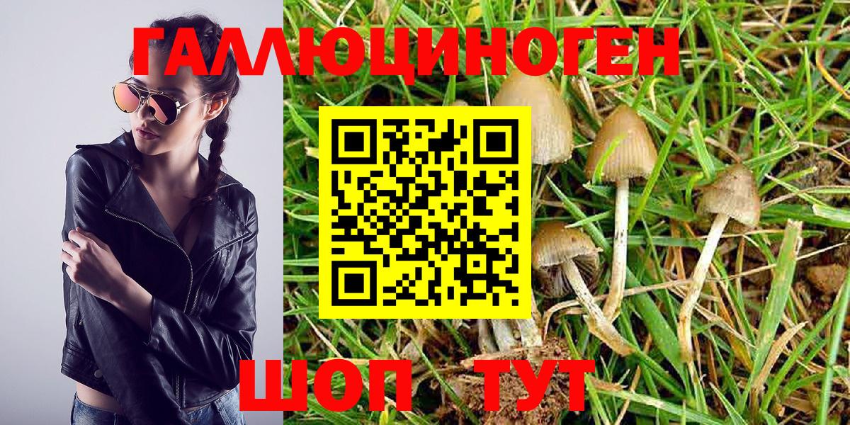 Галлюциногенные грибы Magic Shrooms Кимовск